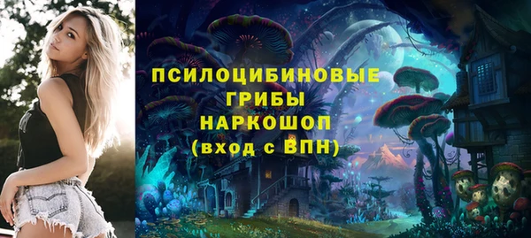 амф Аркадак