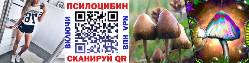 Купить закладки Белая Холуница Псилоцибиновые грибы прущие грибы